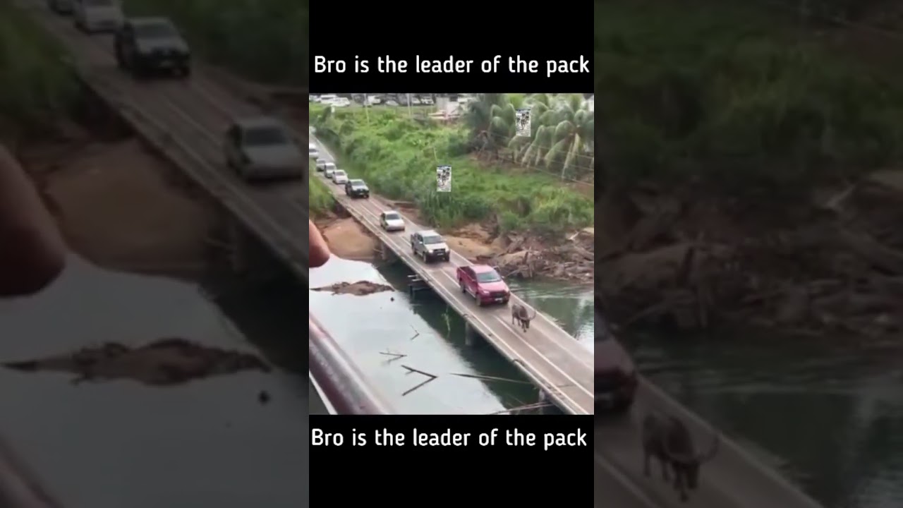 How traffic works in Malaysia..