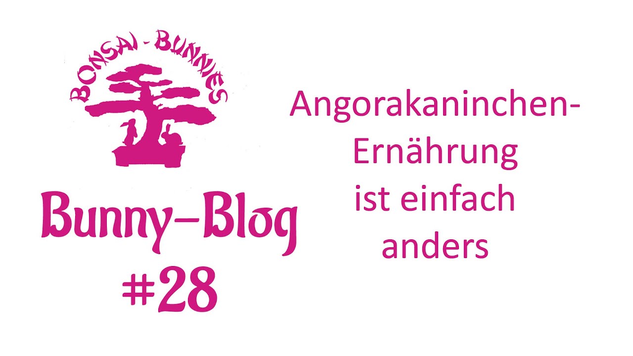 Bunny-Blog#28 Angorakaninchenernährung ist einfach anders