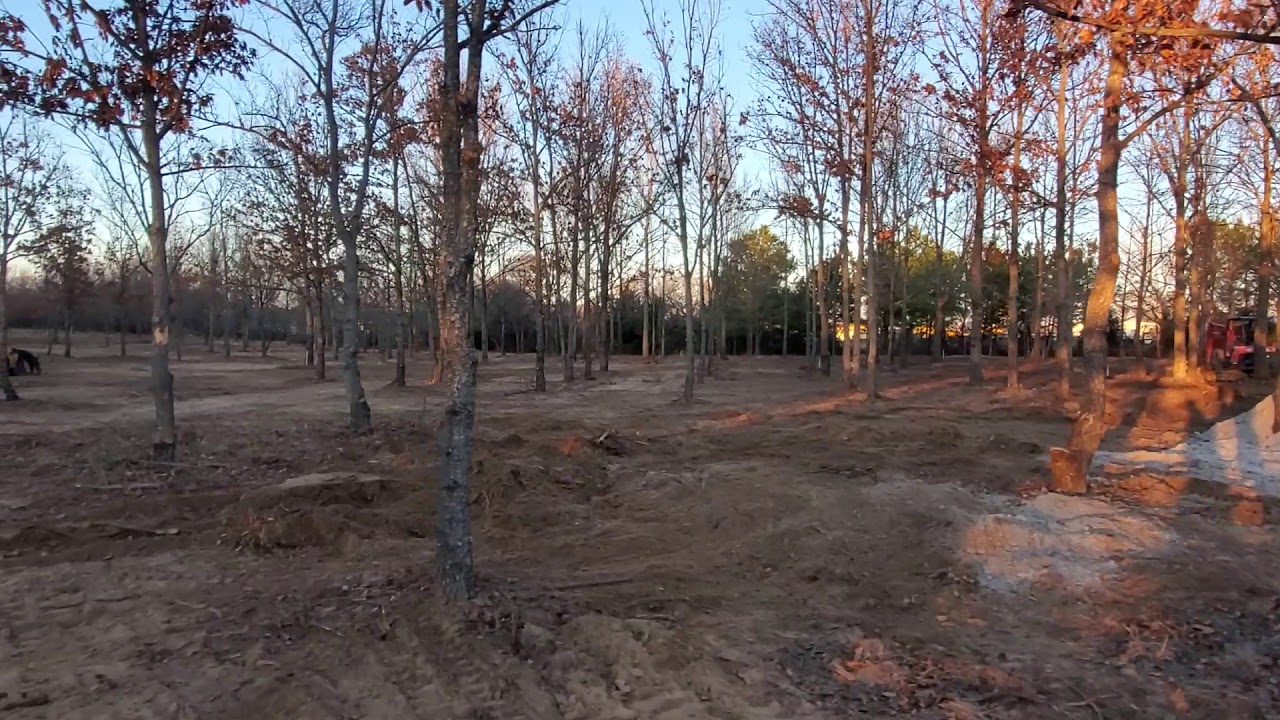 The Pines Phase 2!