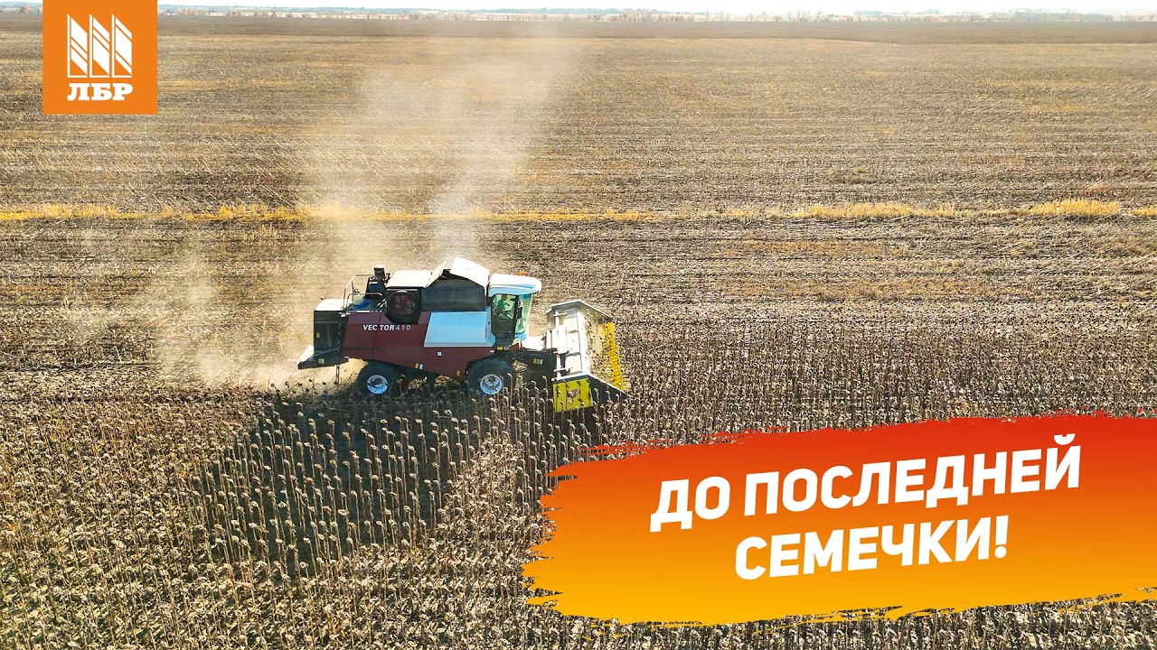 Чем убирать подсолнечник: обзор жатки ЖСБ Sanfloro Shaft