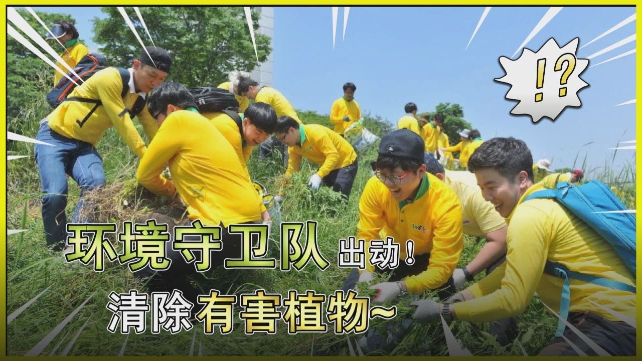 [WeLoveU] 张吉子会长的生态系统保护运动——有害植物清除活动