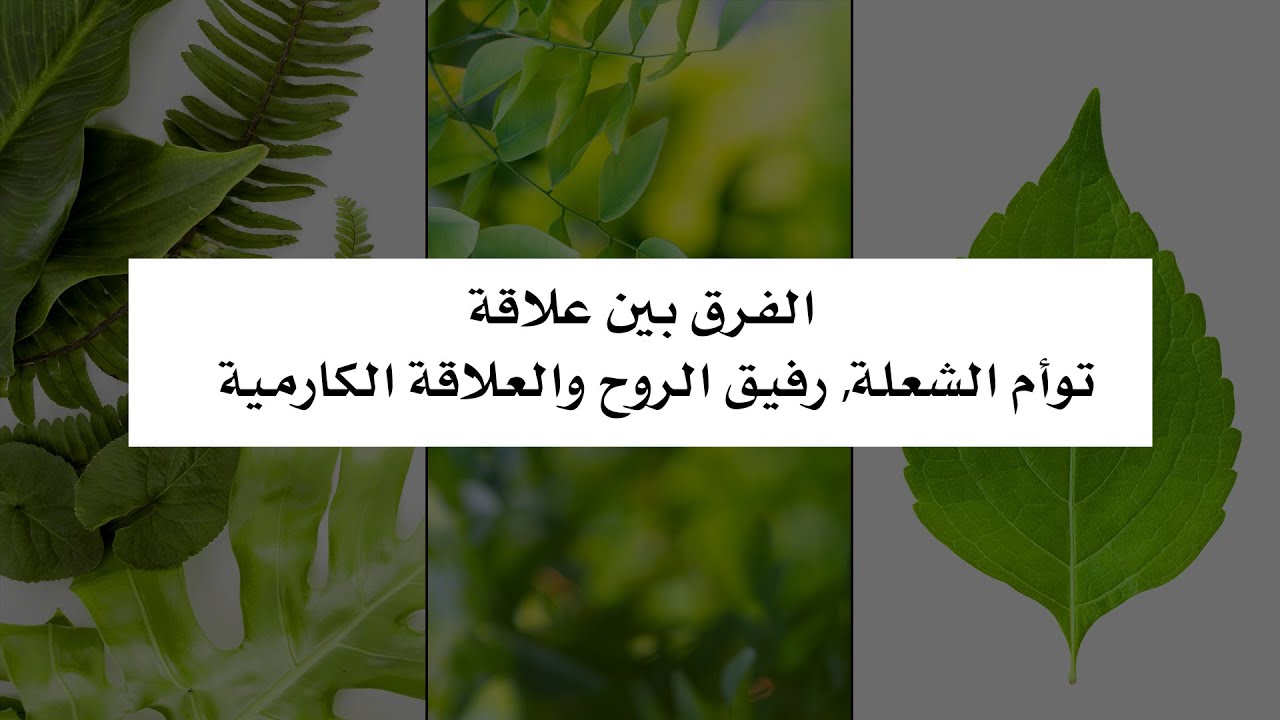 الفرق بين توأم الشعلة, رفيق الروح والعلاقة الكارمية