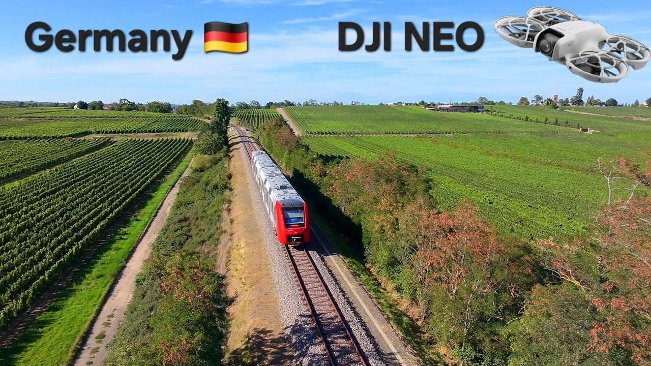 🇩🇪 Flying Over Grape Fields in Germany | DJI Neo 4K #dji #germany #grape 