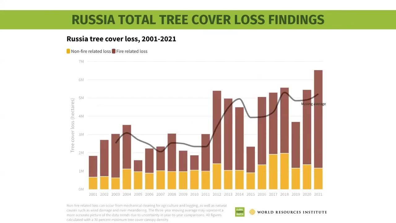 What Happened to the World&rsquo;s Forests in 2021? (French)