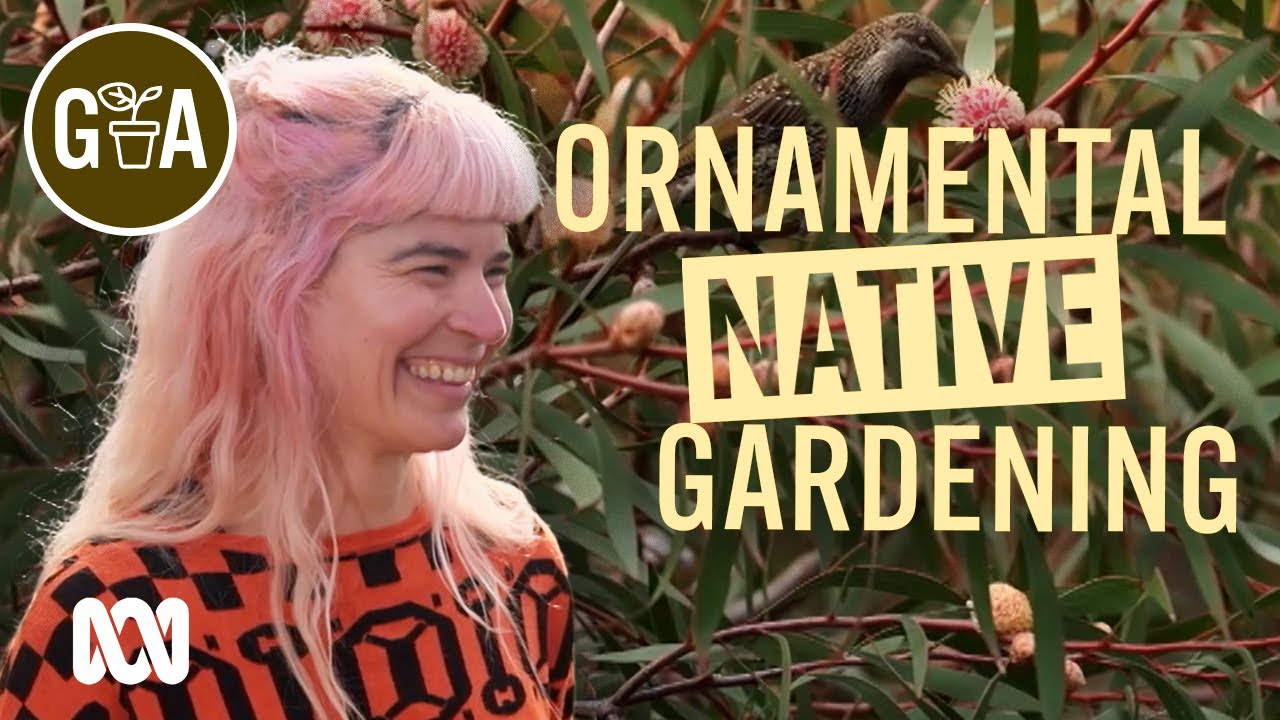 Inspiring DIY Native Garden | Australian Native Plants | Gardening Australia