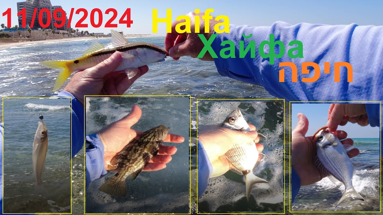 4K 11/09/2024 Haifa Хайфа חיפה fishing דיג рыбалка Trip Afula-Haifa-Afula עפולה-חיפה-עפולה