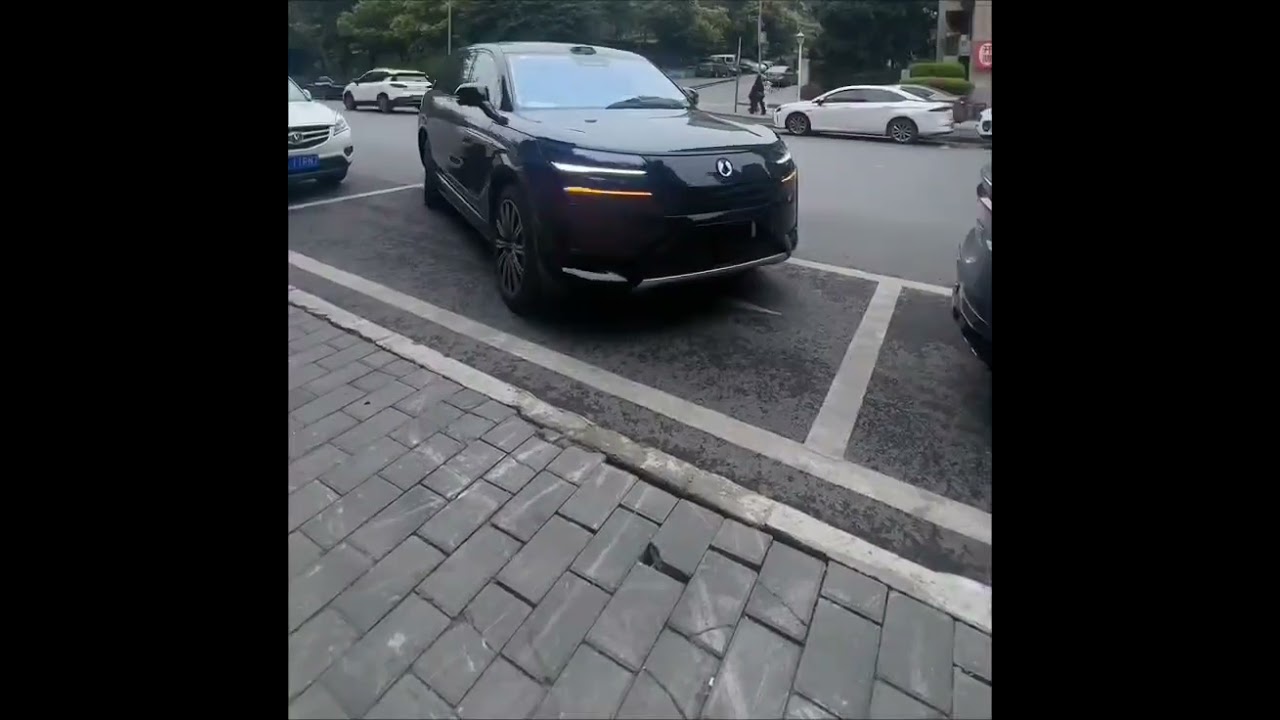 BYD     Denza N9  2025