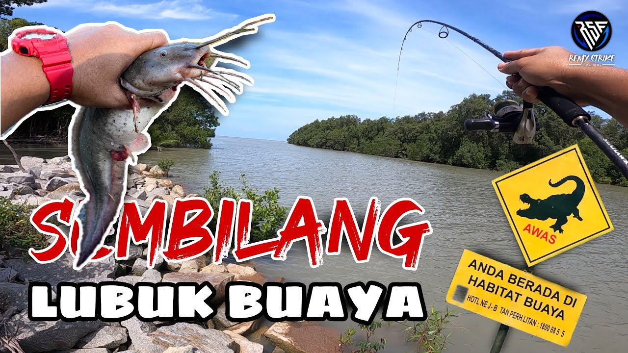 🇲🇾 Kuala Kesang | Sembilang Lubuk Buaya | SOLO FISHING #88