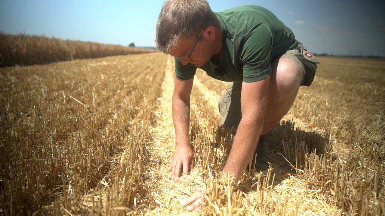 T550i with PremiumFlow - a contractor o the hunt for hectares | John Deere