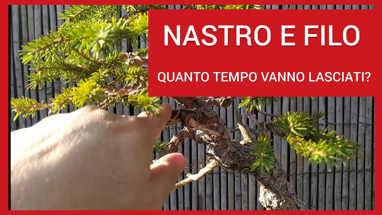 Tempistiche di tenuta per filo e nastro
