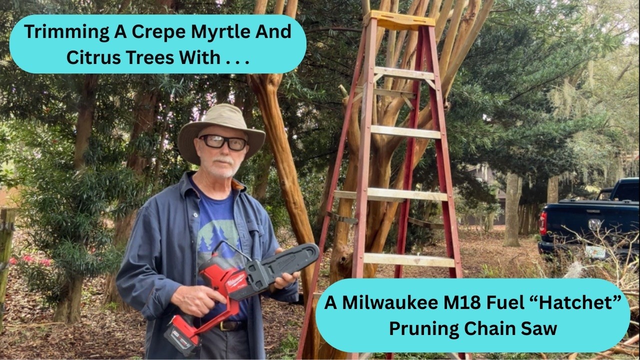 Today's Project:  Trimming A Crepe Myrtle (And Citrus) With A Milwaukee M18 Hatchet Chainsaw Pruner