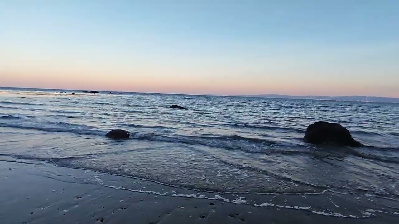 誰もいない海岸 独占だよ