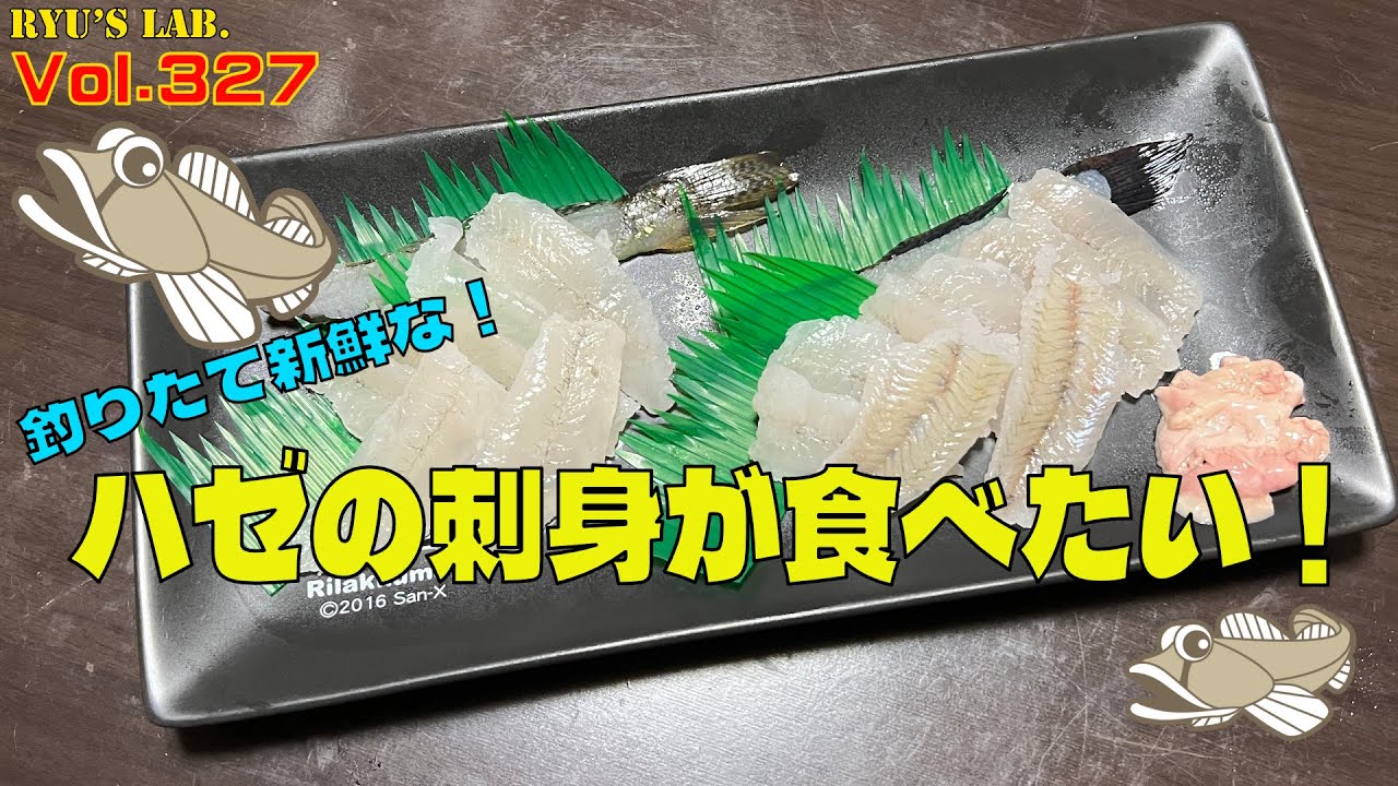 【ハゼ釣り】釣りたてのハゼの刺身が食べたい！ Ryu’s Lab. 第327弾 #ハゼ釣り #内房 #ryuslab