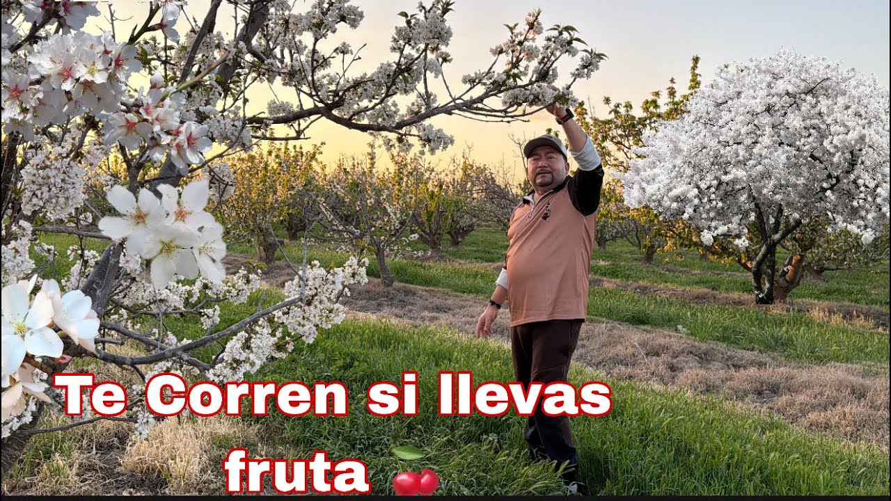 ESTE ES OTRO DE LOS TRABAJOS QUE SE VIENEN QUE PUEDES AHORRAR Y GANAR MUCHO DINERO 