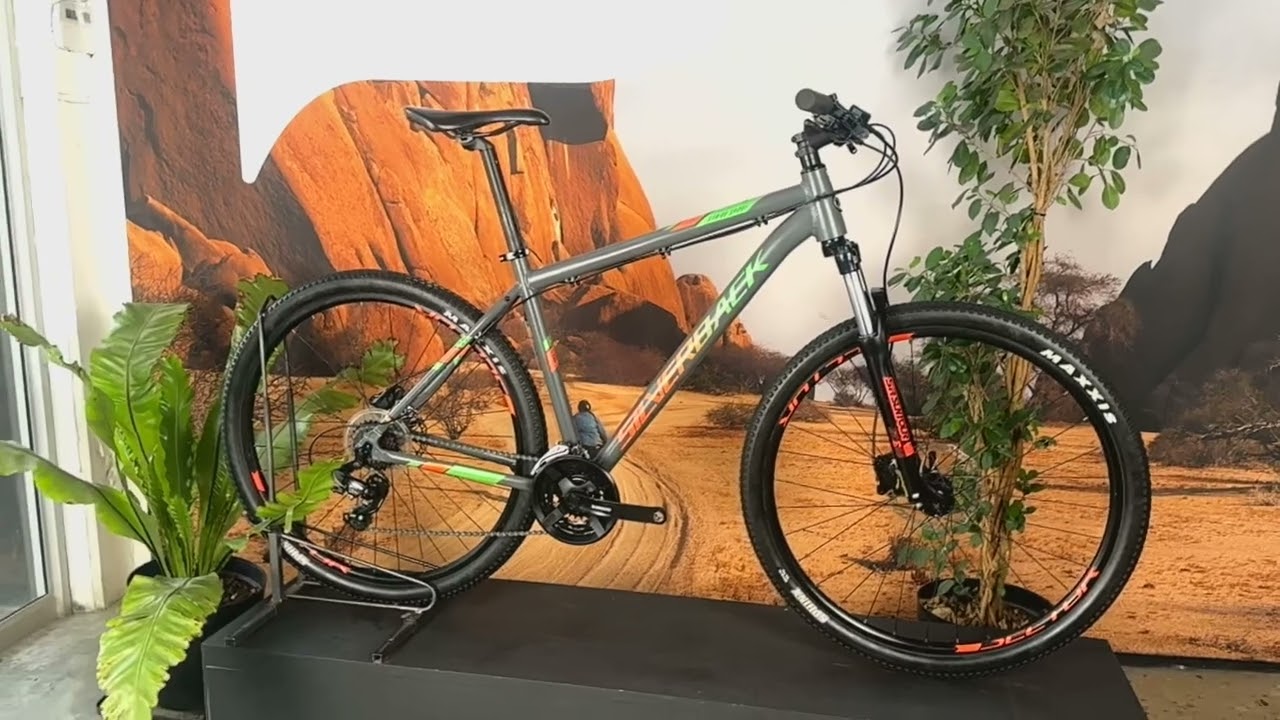 Silverback Stride Comp Large 