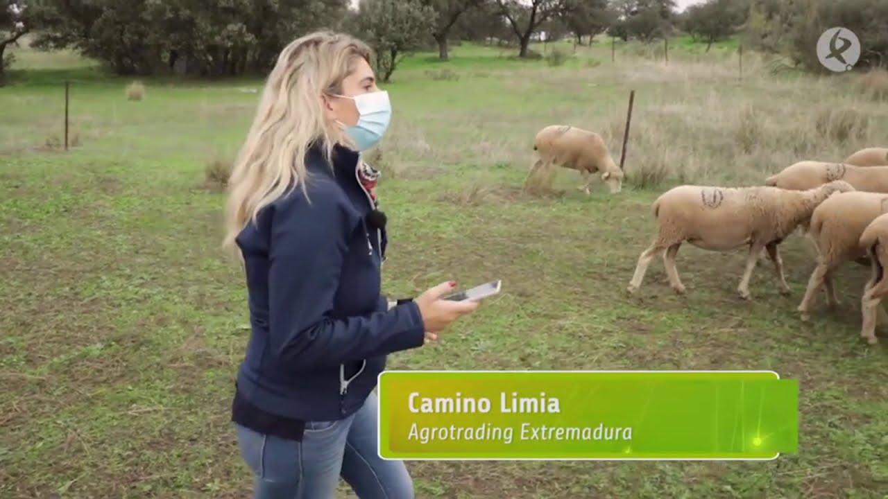 Trasterminancia en Canal Extremadura 