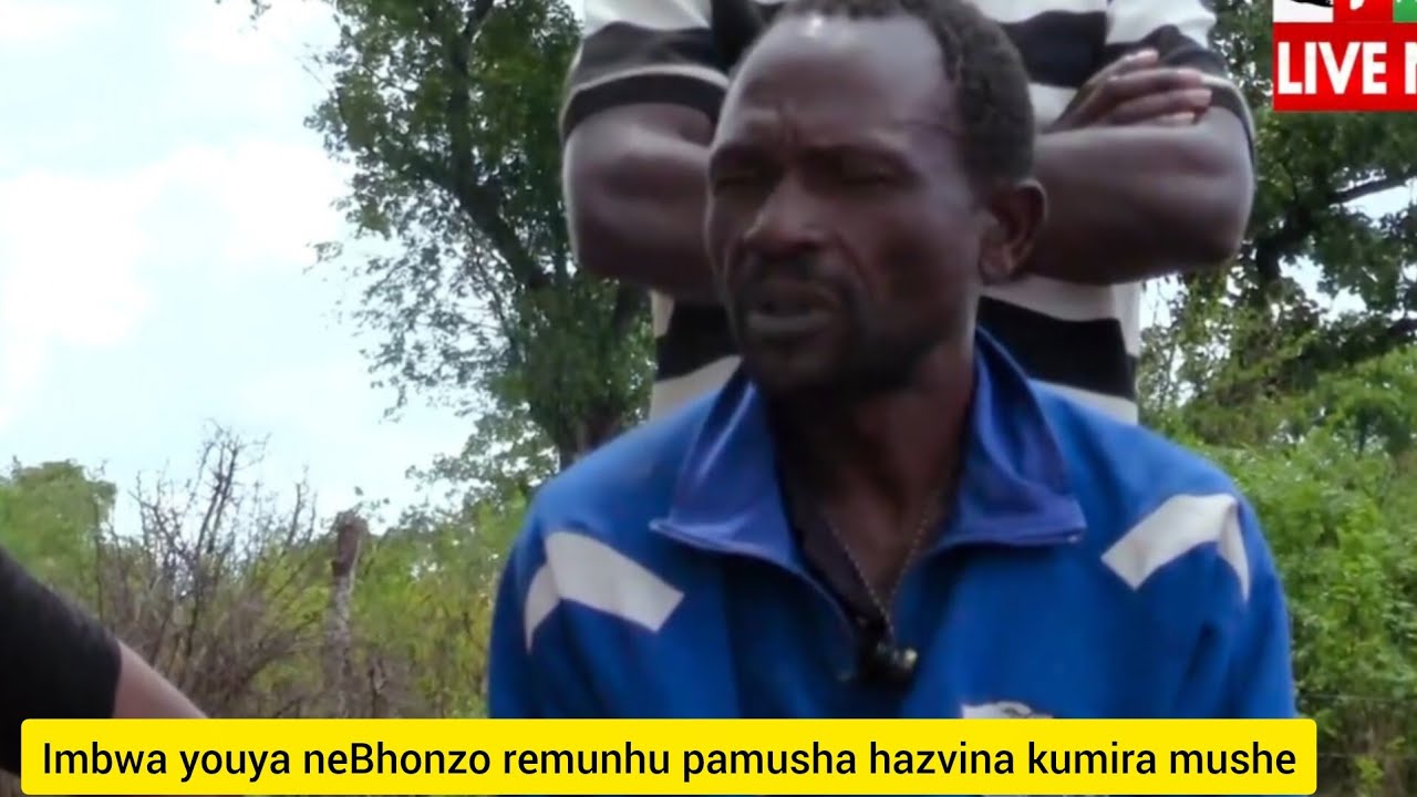 Imbwa youya neBhonzo remunhu pamusha hazvina kumira mushe