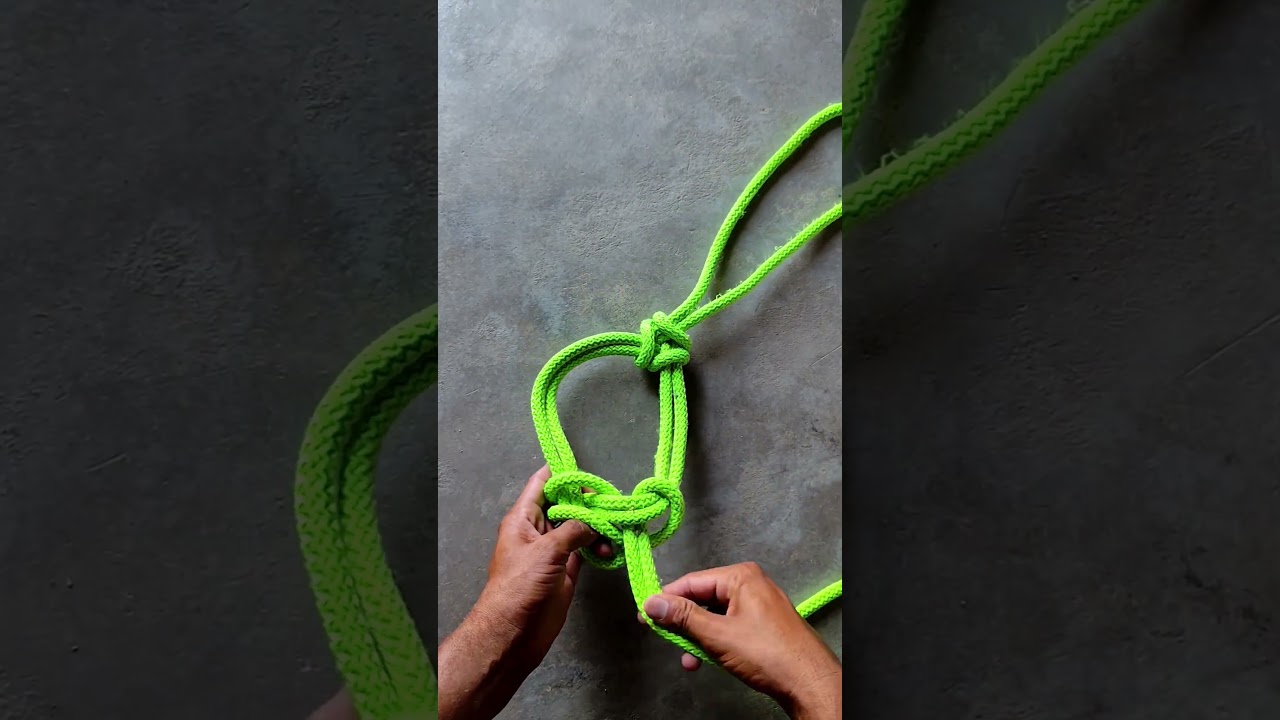 A simple method of making a halter for animals. #halter #creative #artwork