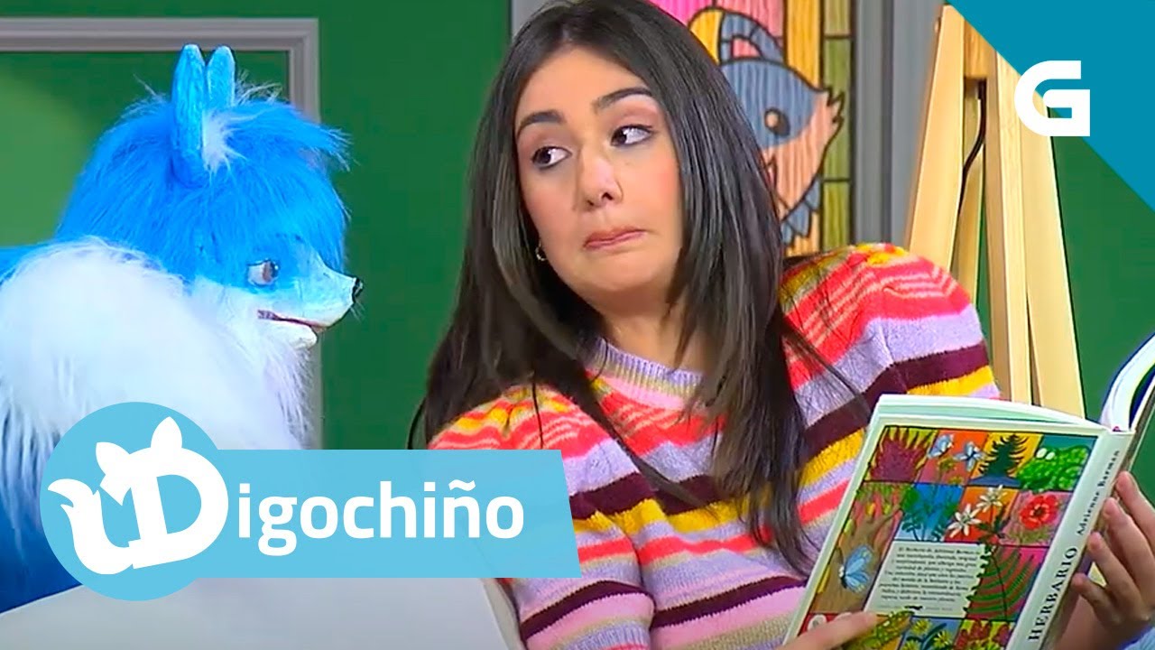 Digochiño | Queremos un xardín 