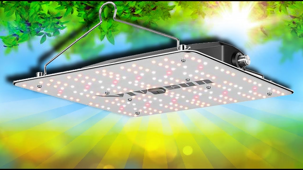 Best budget grow light? VIVOSUN - Quantum Board - VS1000 Unboxing