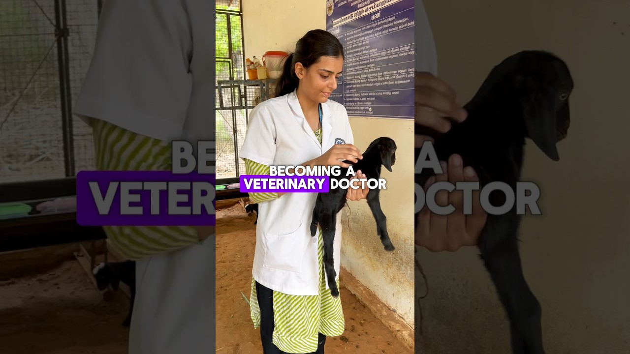 Becoming a Veterinary Doctor is not easy 🩺⚕️