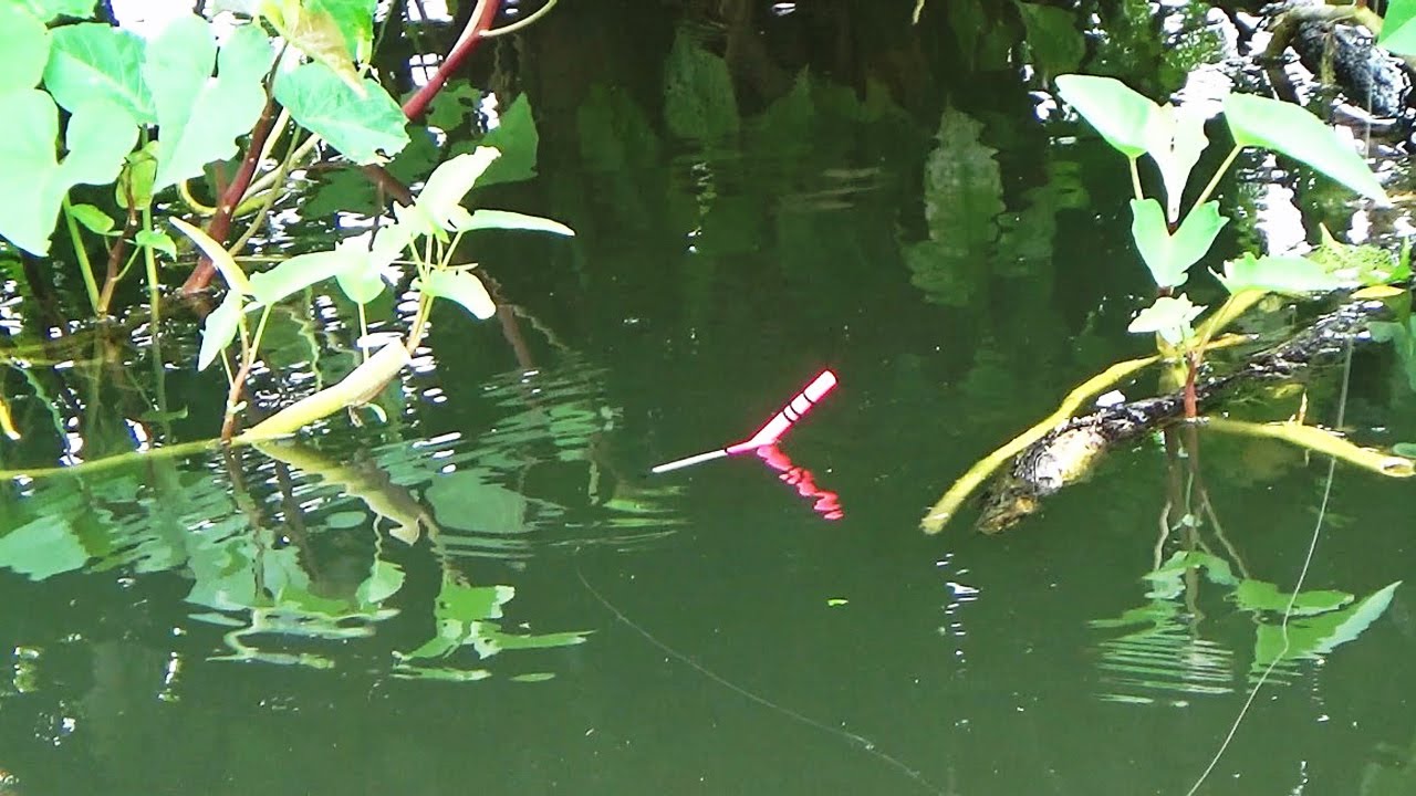 Mancing di Spot Lamongan memang beda dan ikan nya juga bedo bedo (SABAR INI UJIAN)