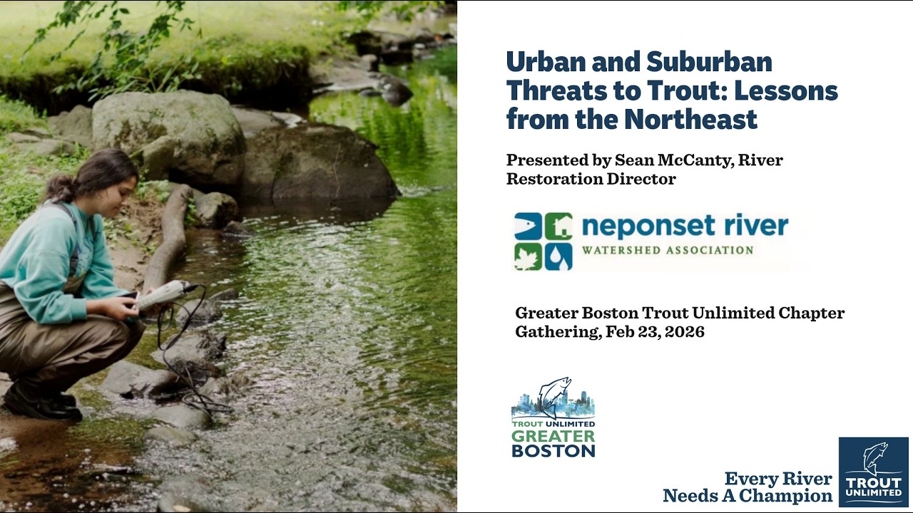 Urban and Suburban Threats to Trout: Lessons from the Northeast