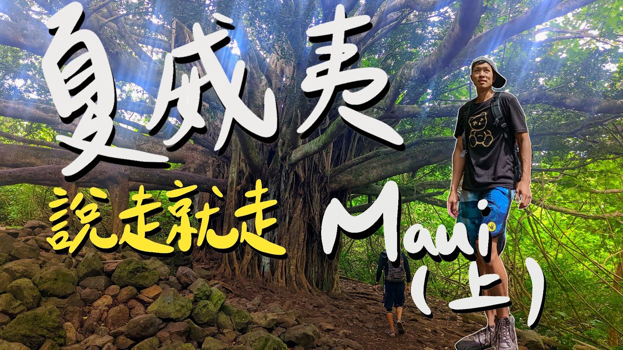 夏威夷Maui (上）前往茂宜島 ｜PipiWai｜Haleakala National Park｜The Road to Hana｜Venus Pond｜Maui Hawaii 【Vlog 002】