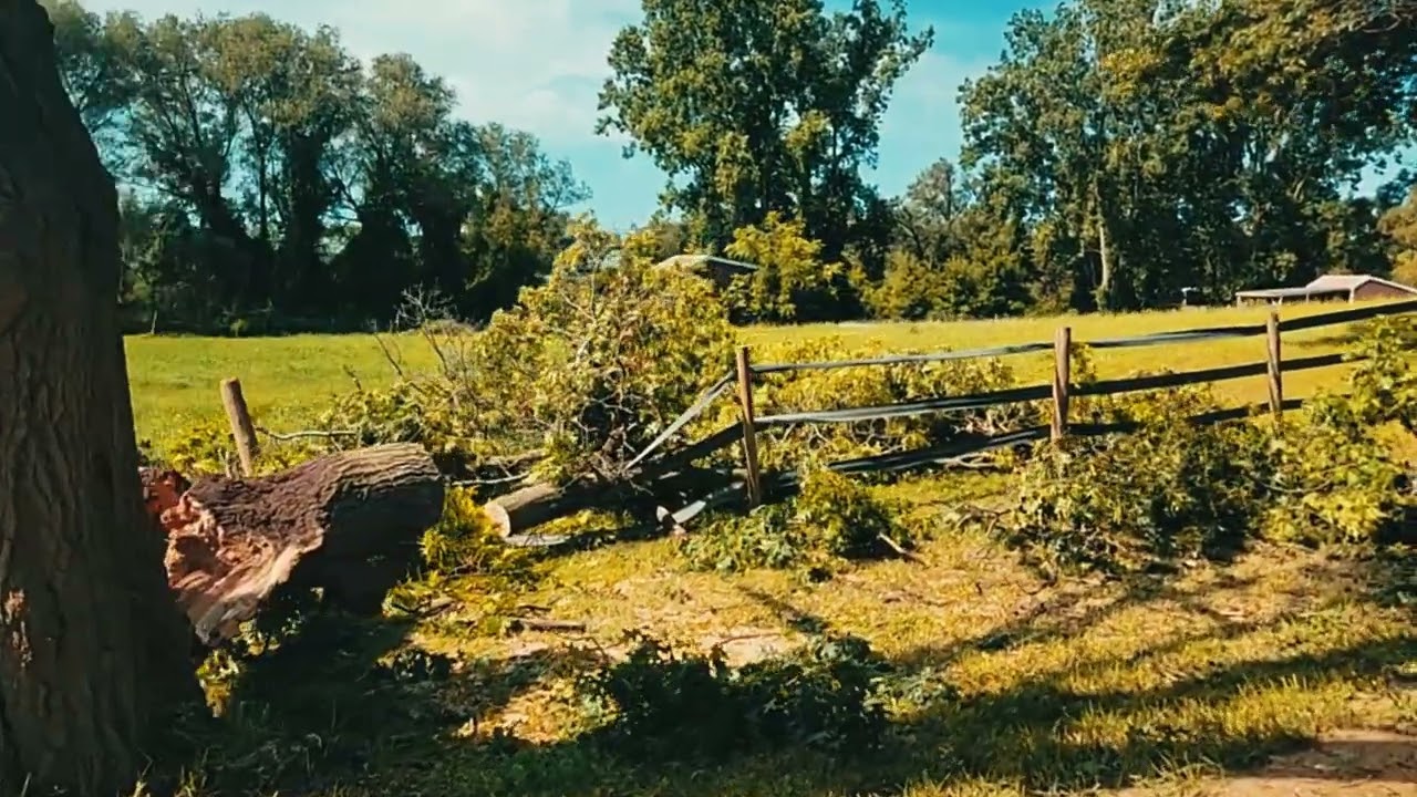 Storm Cleanup: The Oakpocalypse at Huntington Ridge