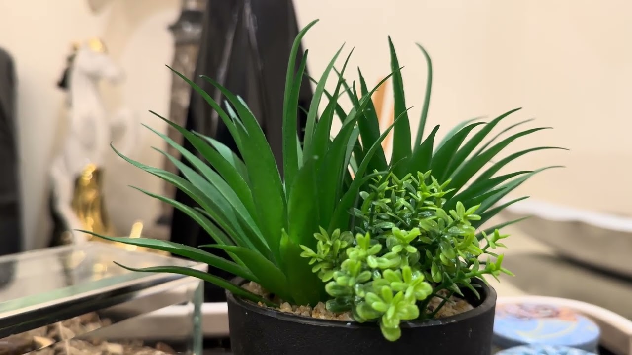 خليك في حالك 🥰انشغلي بنفسك قبل ان تشغلك❤️