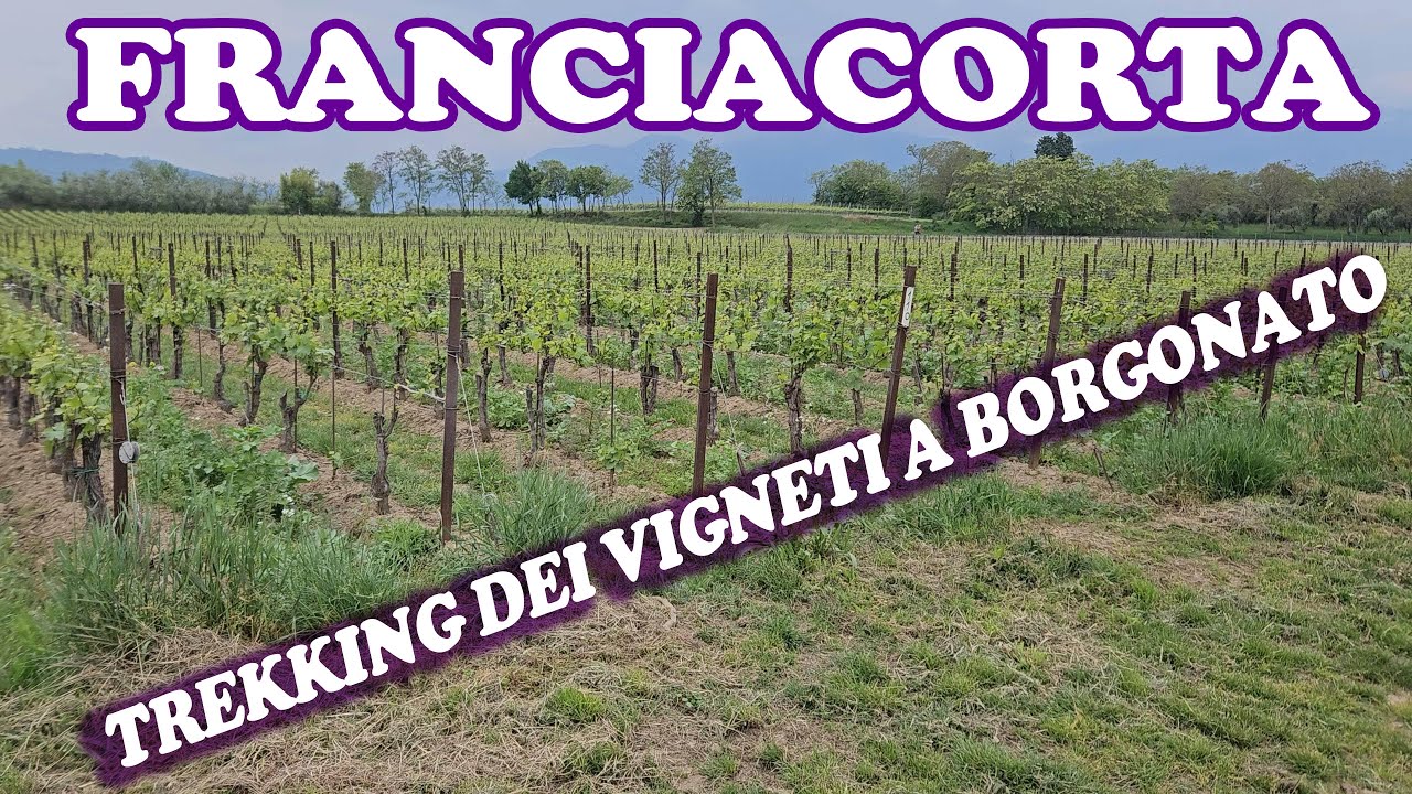 FRANCIACORTA: trekking dei vigneti a Borgonato (Bs)
