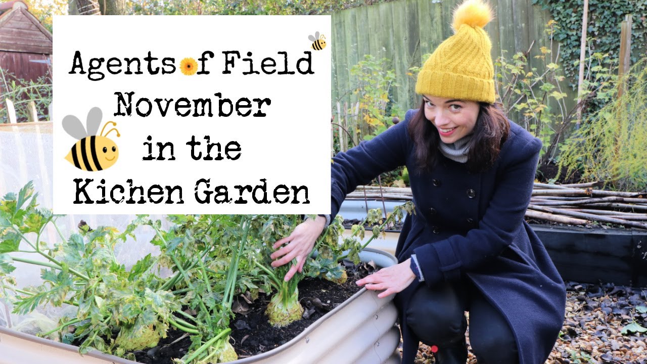 November in the Kitchen Garden