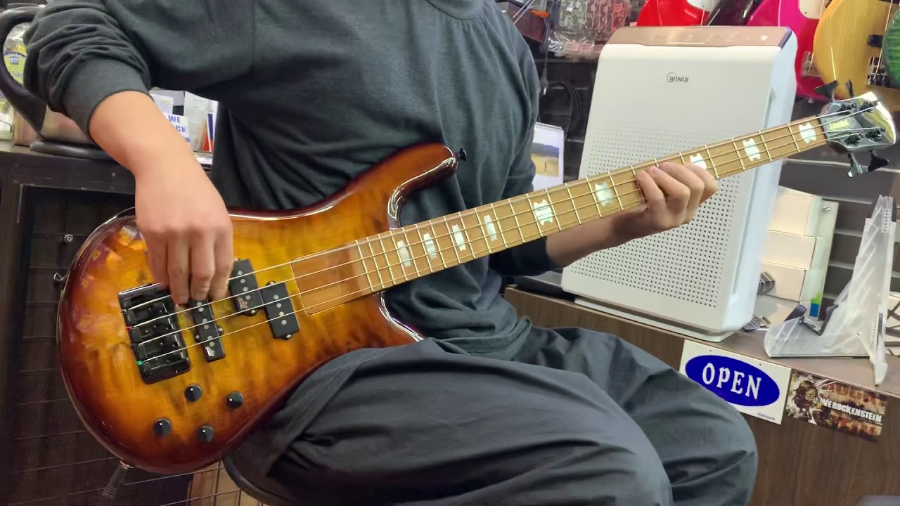 Euro Spector Bolt 4현 간단리뷰
