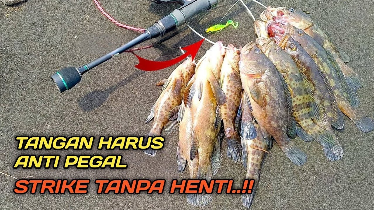 casting kerapu || brutal banget umpan jatuh langsung di gondol..!!