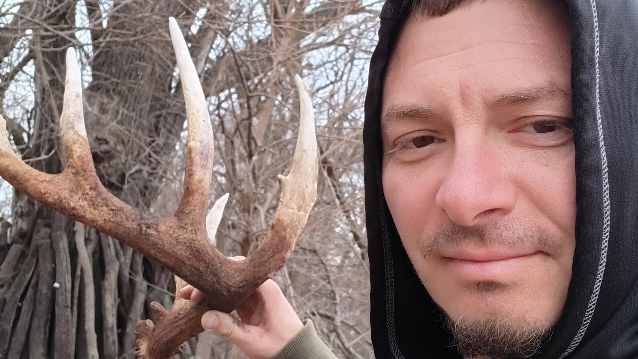 # biggest shed  yet!  2026