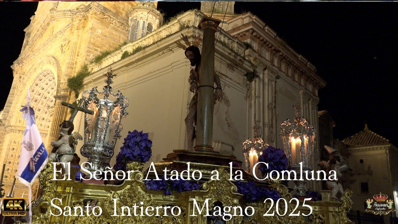 MAGNO EN UTRERA || NTRO PADRE JESÚS ATADO A LA COMLUNA ||ACEITUNEROS 2025 RECOGIDA.