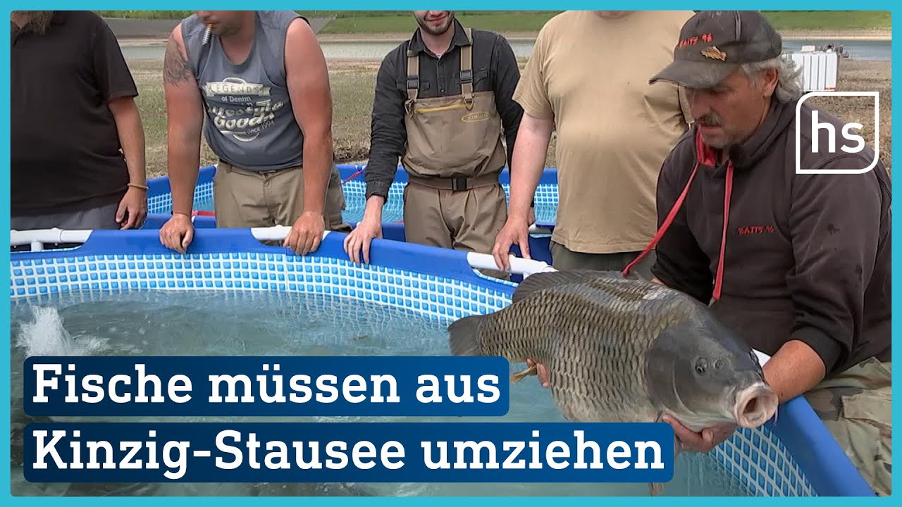 Fische in Kinzigtalsperre müssen umziehen | hessenschau