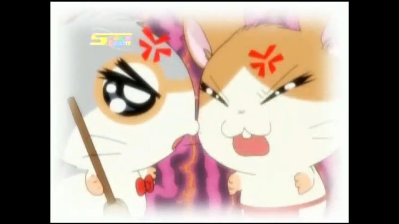 Hamtaro Hai Episode 55 - Mengejar Banyol - Bahasa Indonesia