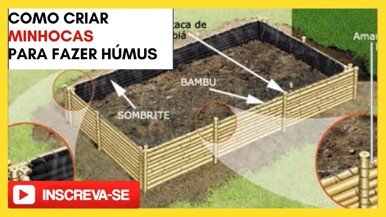 COMO CRIAR MINHOCAS PARA PRODUÇÃO DE HÚMUS