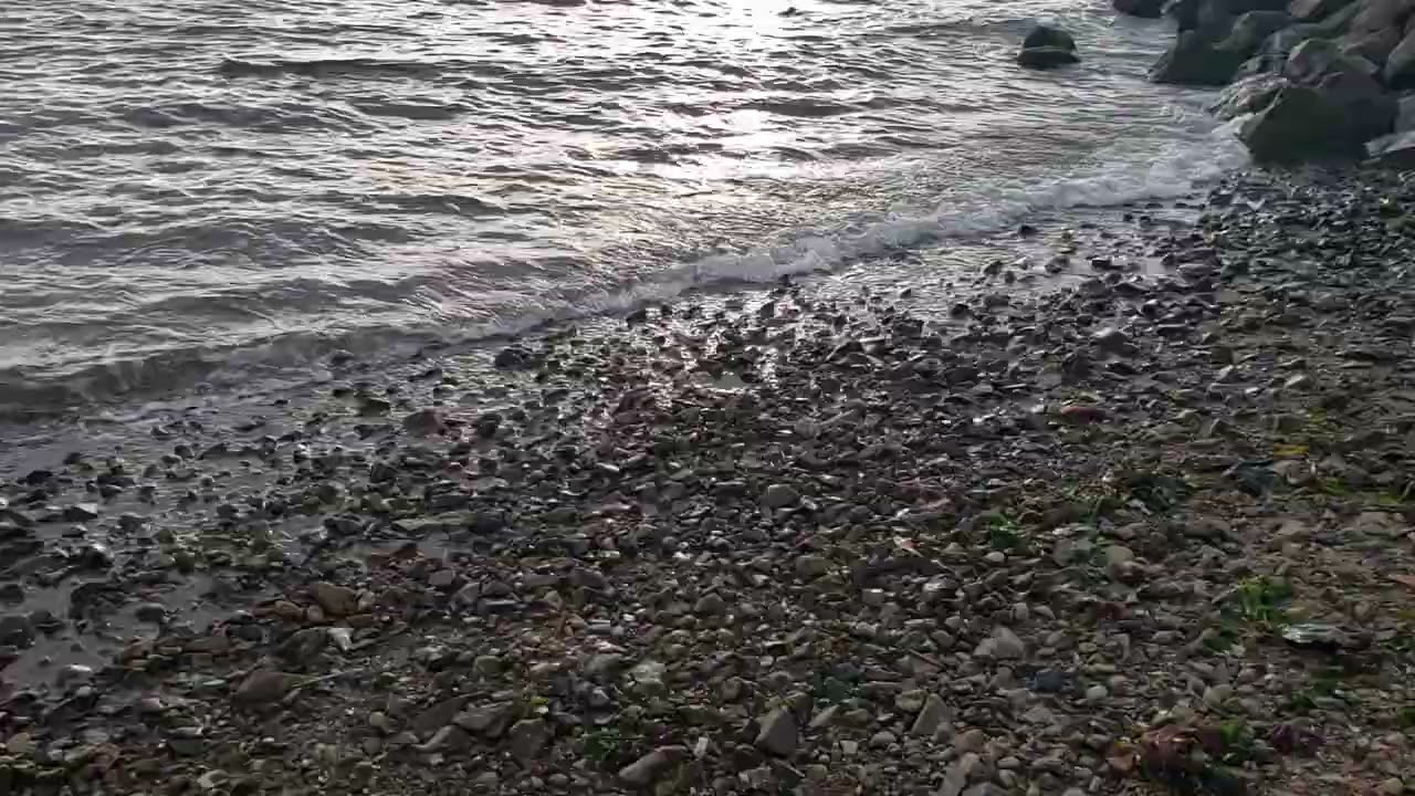 The Daily Relax Routine! | A Private Space! | A 3-minute Relax!