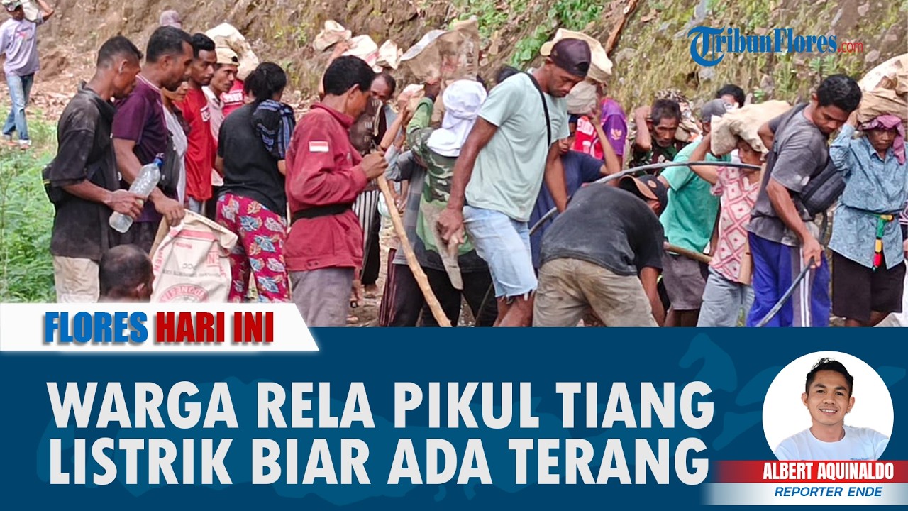 FLORES HARI INI: Biar Rumah Ada Listrik, Warga Wolokota Ende Siap Pikul Tiang Listrik 300 Kg