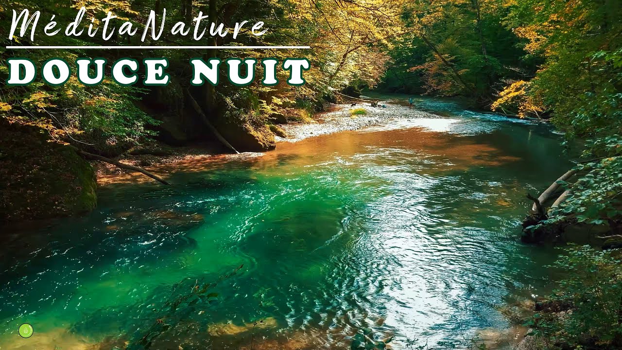 Relaxation. Musique douce au piano. Bruit de l'eau et des animaux. Oiseaux. Méditation