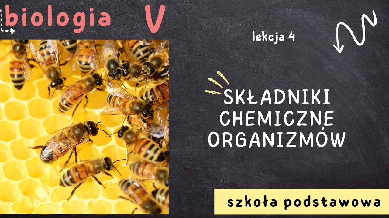 Biologia klasa 5 [Lekcja 4 - Składniki chemiczne organizmów]