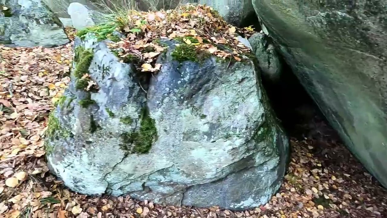 Jätten Rise, Ulvgrytsstenarna