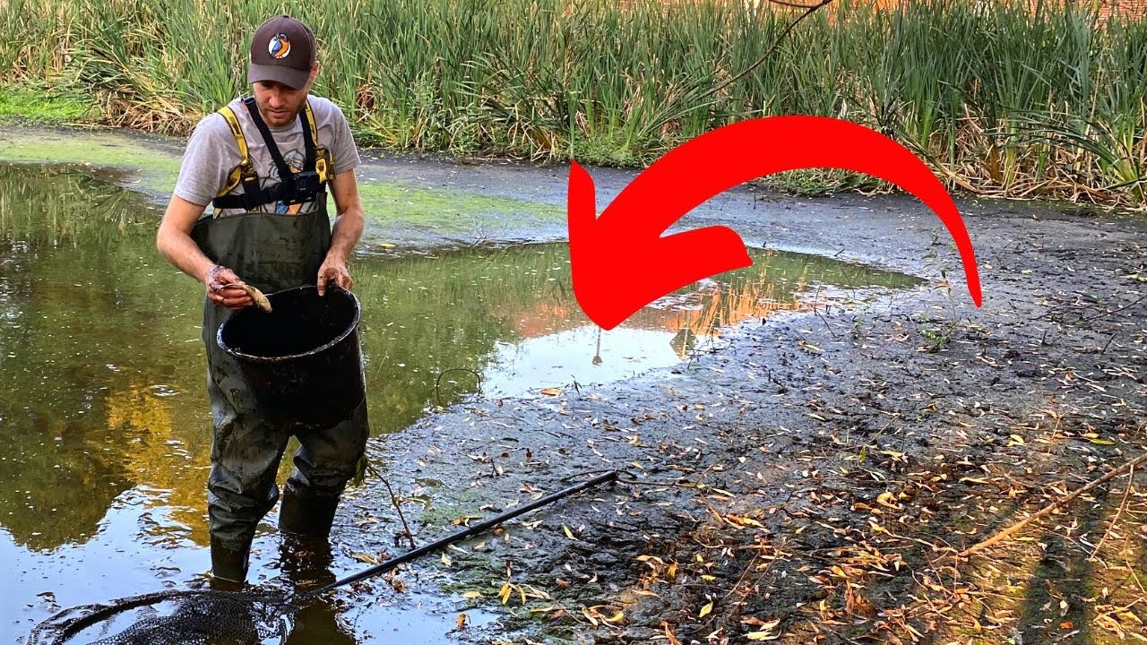 1000 Fische in einer Pf&uuml;tze! | Was wir hier gefunden haben ist unglaublich....