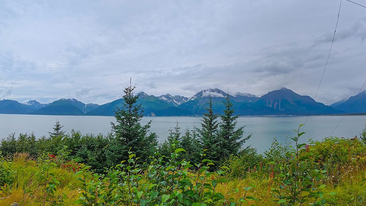 Seward, Alaska Scenic Drive | Waterfront & City Tour in 4K | Kenai Peninsula