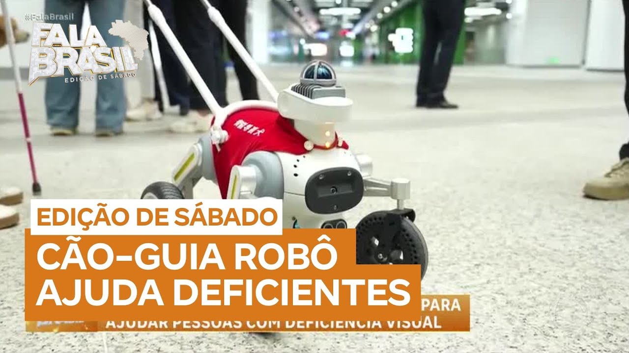 China aposta em c&atilde;o-guia rob&ocirc; para ajudar pessoas com defici&ecirc;ncia visual