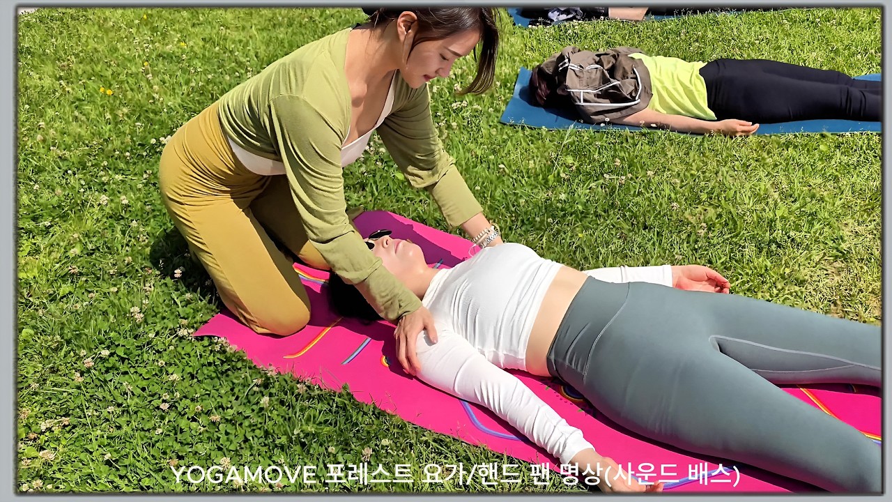 yogamove 포레스트 요가/핸드 팬 명상(사운드 배스)