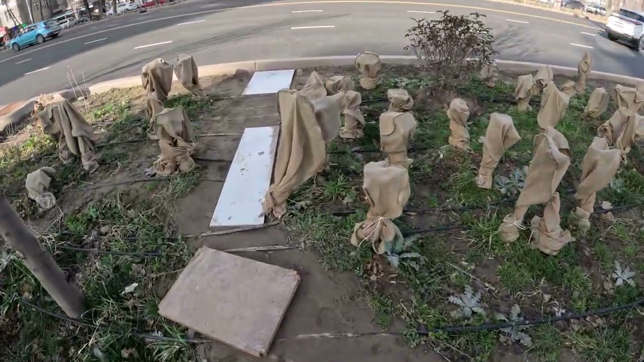 Land measurements №5