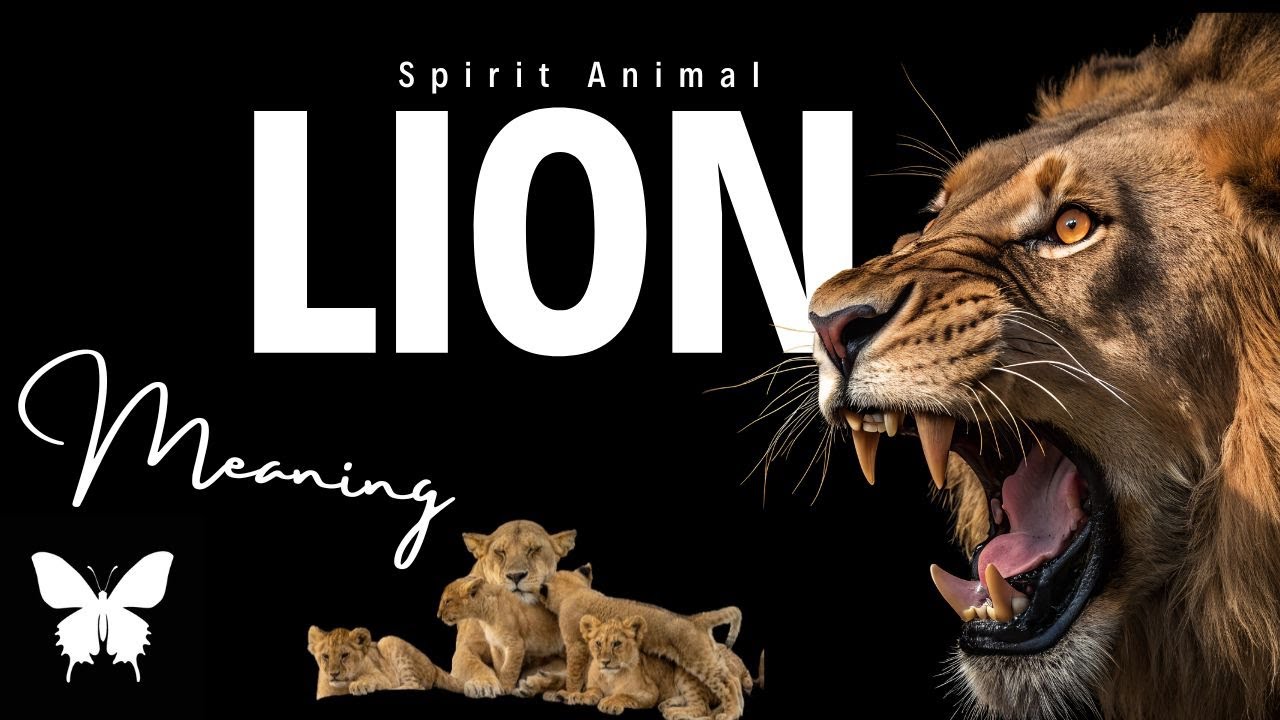Lion Spirit Animal | Lion Spirit Guide | Lion Symbolism | Lion Totem